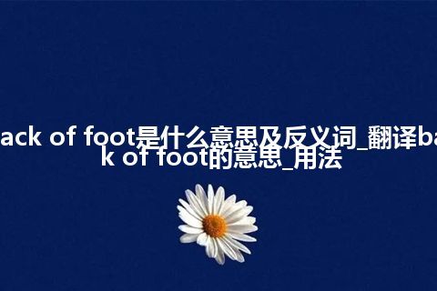 back of foot是什么意思及反义词_翻译back of foot的意思_用法