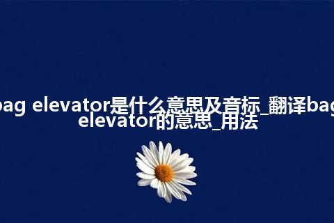 bag elevator是什么意思及音标_翻译bag elevator的意思_用法