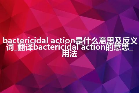 bactericidal action是什么意思及反义词_翻译bactericidal action的意思_用法