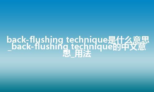 back-flushing technique是什么意思_back-flushing technique的中文意思_用法