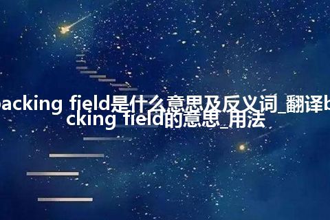 backing field是什么意思及反义词_翻译backing field的意思_用法