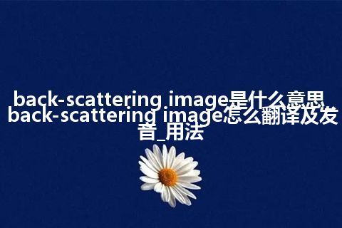 back-scattering image是什么意思_back-scattering image怎么翻译及发音_用法