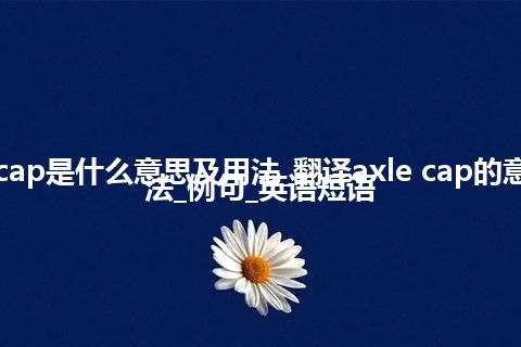 axle cap是什么意思及用法_翻译axle cap的意思_用法_例句_英语短语