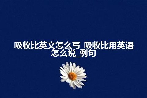 吸收比英文怎么写_吸收比用英语怎么说_例句