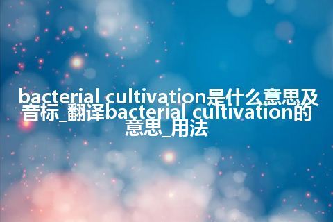 bacterial cultivation是什么意思及音标_翻译bacterial cultivation的意思_用法