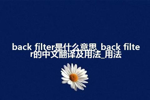 back filter是什么意思_back filter的中文翻译及用法_用法