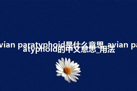 avian paratyphoid是什么意思_avian paratyphoid的中文意思_用法