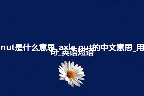 axle nut是什么意思_axle nut的中文意思_用法_例句_英语短语