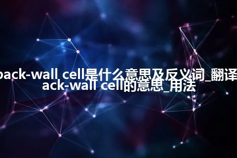 back-wall cell是什么意思及反义词_翻译back-wall cell的意思_用法