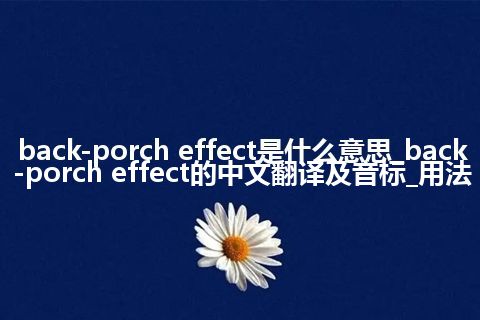 back-porch effect是什么意思_back-porch effect的中文翻译及音标_用法