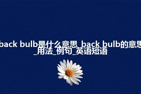 back bulb是什么意思_back bulb的意思_用法_例句_英语短语