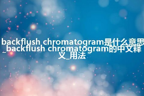 backflush chromatogram是什么意思_backflush chromatogram的中文释义_用法