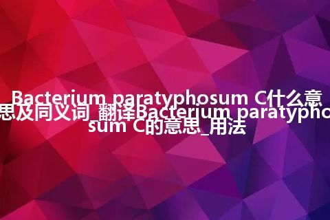 Bacterium paratyphosum C什么意思及同义词_翻译Bacterium paratyphosum C的意思_用法