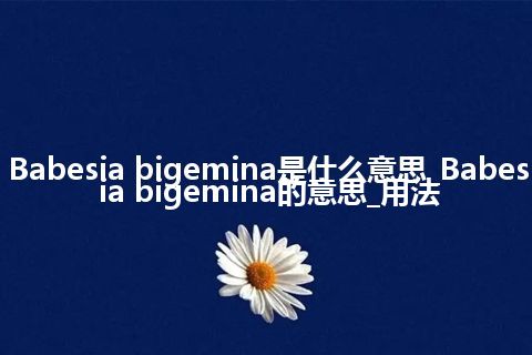 Babesia bigemina是什么意思_Babesia bigemina的意思_用法