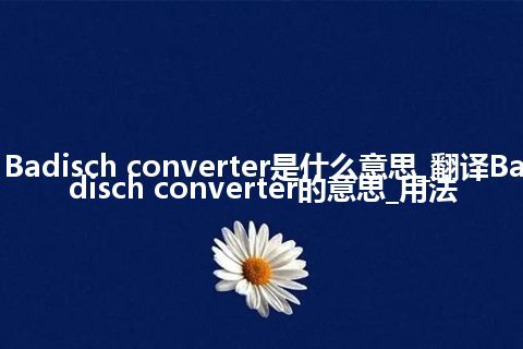 Badisch converter是什么意思_翻译Badisch converter的意思_用法