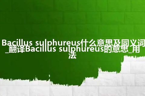 Bacillus sulphureus什么意思及同义词_翻译Bacillus sulphureus的意思_用法