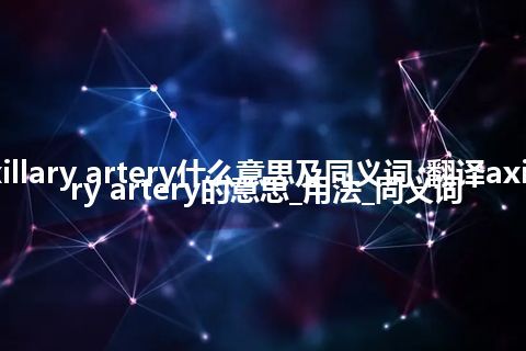 axillary artery什么意思及同义词_翻译axillary artery的意思_用法_同义词