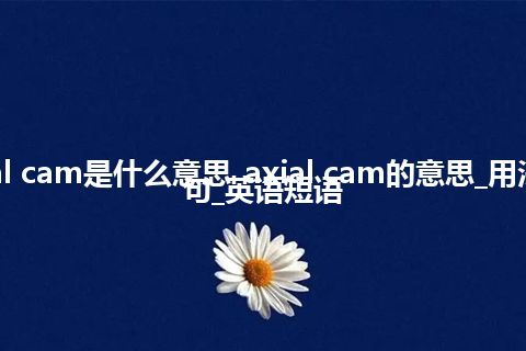 axial cam是什么意思_axial cam的意思_用法_例句_英语短语