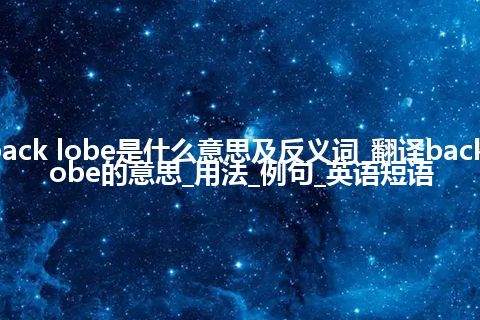 back lobe是什么意思及反义词_翻译back lobe的意思_用法_例句_英语短语