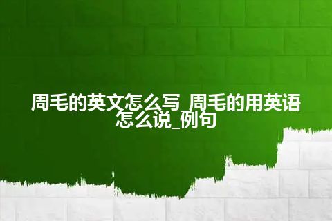 周毛的英文怎么写_周毛的用英语怎么说_例句