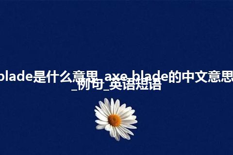 axe blade是什么意思_axe blade的中文意思_用法_例句_英语短语