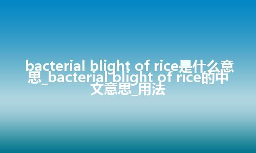 bacterial blight of rice是什么意思_bacterial blight of rice的中文意思_用法