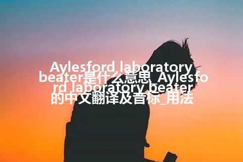 Aylesford laboratory beater是什么意思_Aylesford laboratory beater的中文翻译及音标_用法