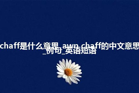 awn chaff是什么意思_awn chaff的中文意思_用法_例句_英语短语