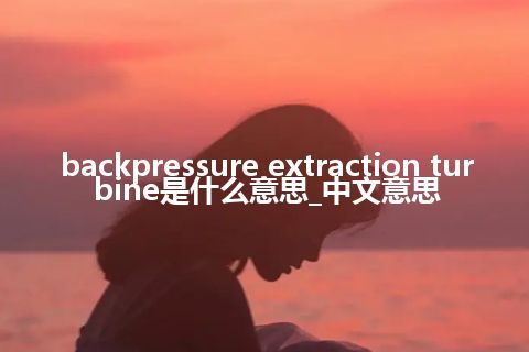 backpressure extraction turbine是什么意思_中文意思