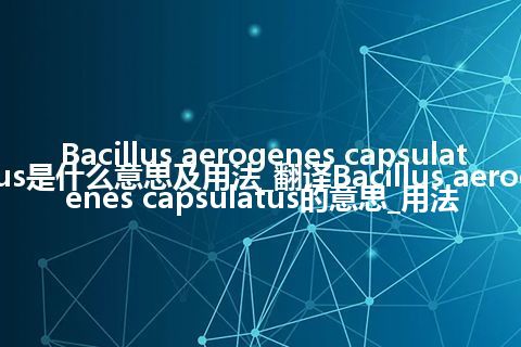 Bacillus aerogenes capsulatus是什么意思及用法_翻译Bacillus aerogenes capsulatus的意思_用法