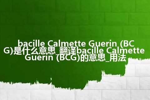 bacille Calmette Guerin (BCG)是什么意思_翻译bacille Calmette Guerin (BCG)的意思_用法