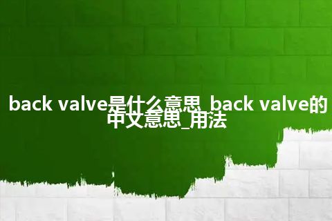 back valve是什么意思_back valve的中文意思_用法