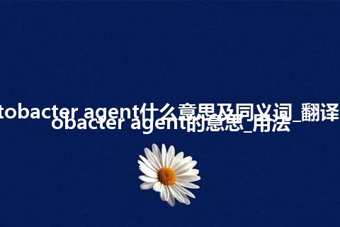 azotobacter agent什么意思及同义词_翻译azotobacter agent的意思_用法