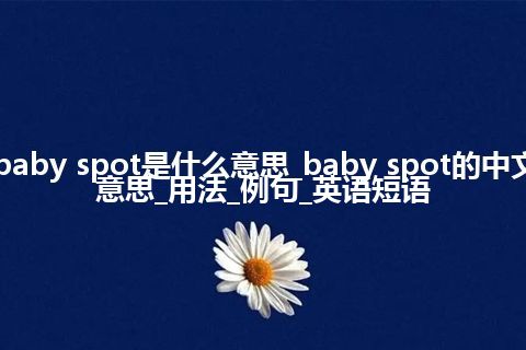 baby spot是什么意思_baby spot的中文意思_用法_例句_英语短语