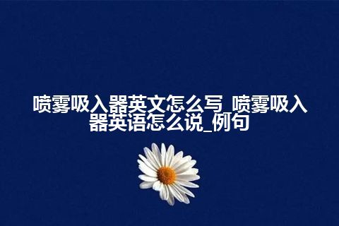 喷雾吸入器英文怎么写_喷雾吸入器英语怎么说_例句