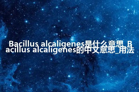 Bacillus alcaligenes是什么意思_Bacillus alcaligenes的中文意思_用法