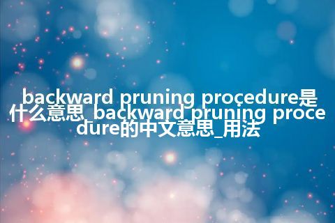 backward pruning procedure是什么意思_backward pruning procedure的中文意思_用法