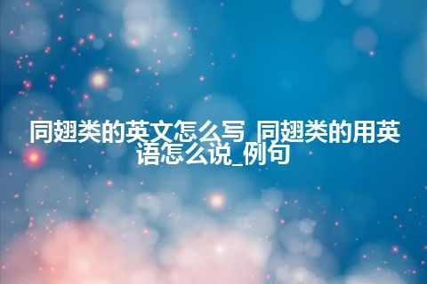 同翅类的英文怎么写_同翅类的用英语怎么说_例句