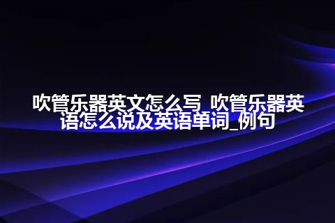 吹管乐器英文怎么写_吹管乐器英语怎么说及英语单词_例句