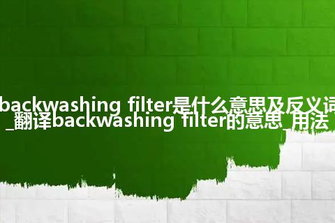 backwashing filter是什么意思及反义词_翻译backwashing filter的意思_用法