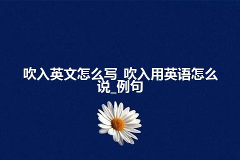 吹入英文怎么写_吹入用英语怎么说_例句