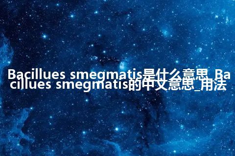 Bacillues smegmatis是什么意思_Bacillues smegmatis的中文意思_用法