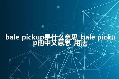 bale pickup是什么意思_bale pickup的中文意思_用法