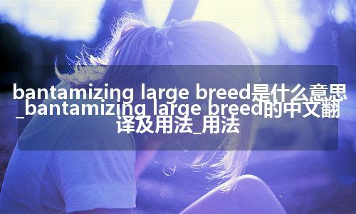 bantamizing large breed是什么意思_bantamizing large breed的中文翻译及用法_用法