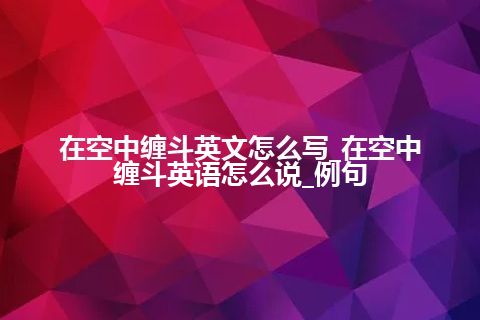 在空中缠斗英文怎么写_在空中缠斗英语怎么说_例句