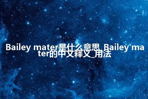 Bailey mater是什么意思_Bailey mater的中文释义_用法