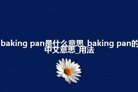 baking pan是什么意思_baking pan的中文意思_用法