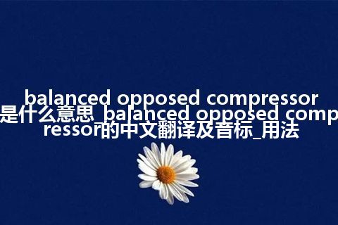 balanced opposed compressor是什么意思_balanced opposed compressor的中文翻译及音标_用法