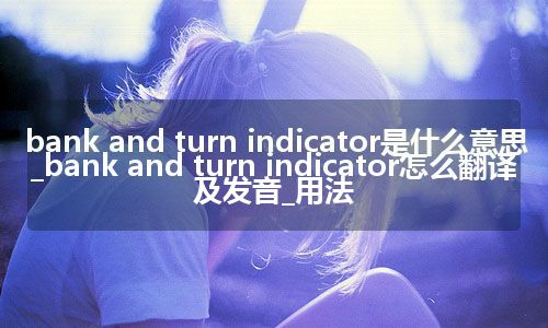 bank and turn indicator是什么意思_bank and turn indicator怎么翻译及发音_用法