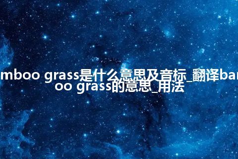 bamboo grass是什么意思及音标_翻译bamboo grass的意思_用法